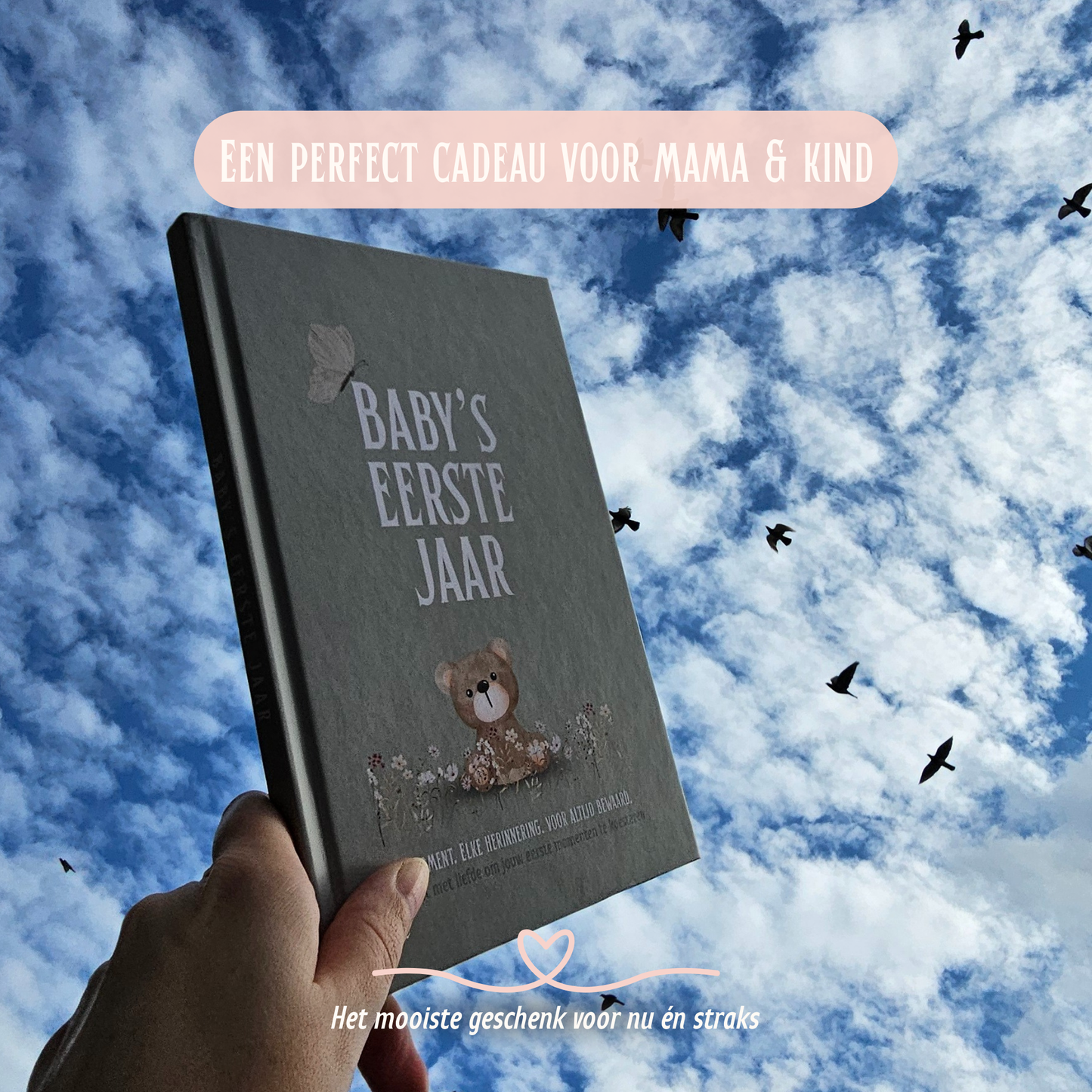 Baby's Eerste Jaar | Groen